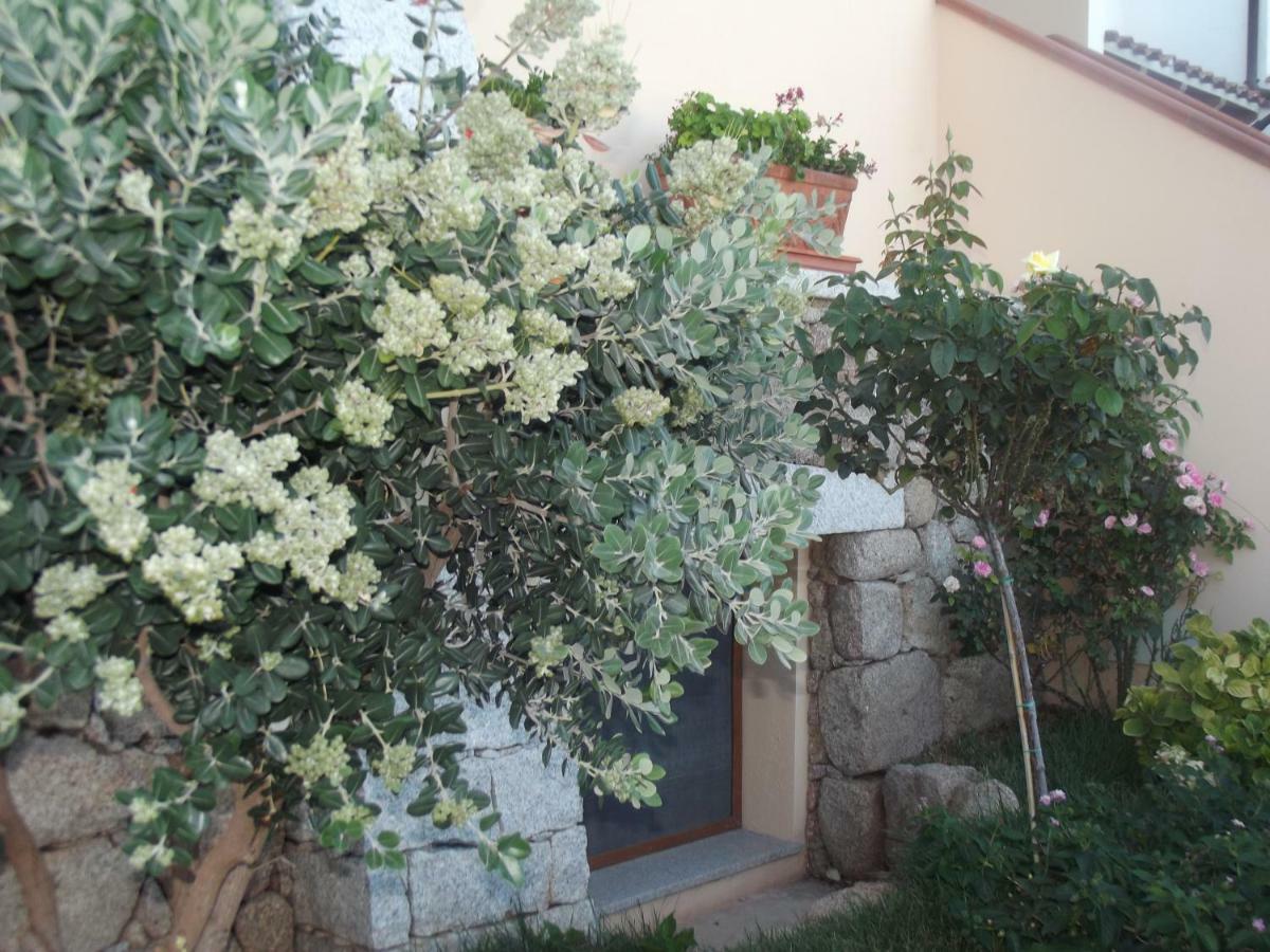 卡拉古诺内Casa Elena公寓 外观 照片
